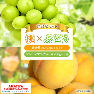 yӂ邳Ɣ[Łz Ԃǂ l 2026N s\   2ʁi1250gȏj VC }XJbg 1[ 700g R Ԕ֎sY t[c ʕ t@[}[YK[f@͂F2026N8