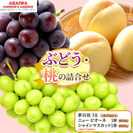 【ふるさと納税】桃 ぶどう 詰合せ 2026年 先行予約 夢白桃 3玉(1玉250g以上) ニュー ピオーネ 1房 約500g シャインマスカット1房約600g 岡山県 赤磐市産 フルーツ 果物 あかいわファーマーズガーデン　お届け：2026年7月下旬～2026年8月中旬