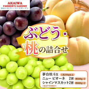 【ふるさと納税】桃 ぶどう 詰合せ 2026年 先行予約 夢白桃 6玉(1玉250g以上) ニュー ピオーネ 2房 約500g×2 シャインマスカット2房約600g×2 岡山県 赤磐市産 フルーツ 果物 あかいわファーマーズ