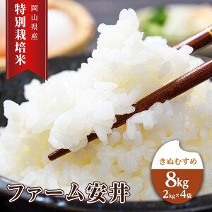 yӂ邳Ɣ[Łz y2025N11`\z ʍ͔| ʂނ 8kg (2kg×4)   RY t@[  CX  ɂ ٓ aH H Y Y  Yn