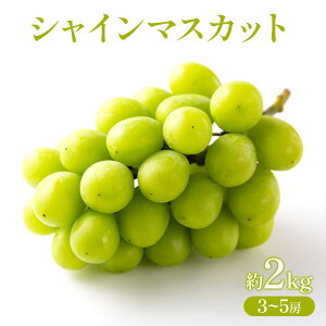 �y�ӂ邳�Ɣ[�Łz�Ԃǂ� 2026�N ��s��t �V���C���}�X�J�b�g ��2kg (3�`5�[) �t���[�c �ʕ� ���R �Ԕ֎s�@���͂��F2026�N8��16���`2026�N10��15��