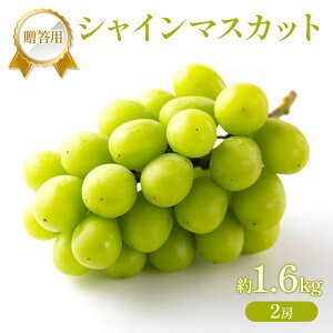 �y�ӂ邳�Ɣ[�Łz�Ԃǂ� 2026�N ��s��t �����p �V���C���}�X�J�b�g ��1.6kg (2�[) �t���[�c �ʕ� ���R �Ԕ֎s�@���͂��F2026�N8��16���`2026�N9��15��