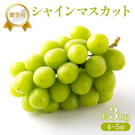 【ふるさと納税】ぶどう 2026年 先行受付 贈答用 シャインマスカット 約3kg (4～5房) フルーツ 果物 岡山 赤磐市　お届け：2026年8月16日～2026年9月15日