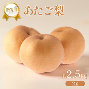 �y�ӂ邳�Ɣ[�Łz�� 2025�N �����p �������� ��2.5kg (2��) �t���[�c �ʕ� ���R �Ԕ֎s�@���͂��F2025�N11��20���`2025�N12��29��