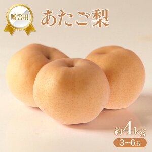 �y�ӂ邳�Ɣ[�Łz�� 2025�N �����p �������� ��4kg (3�`6��) �t���[�c �ʕ� ���R �Ԕ֎s�@���͂��F2025�N11��20���`2025�N12��29��