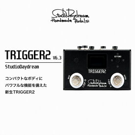 【ふるさと納税】TRIGGER2 V6.3 StudioDaydream スイッチャー 2ループ MIDI コントロール端子 エフェクター ギター