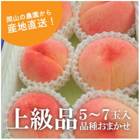 【ふるさと納税】岡山県産 果樹園から産地直送!旬採り桃 上級品 5-7玉【7月上旬～8月下旬発送】【配送不可地域：離島】【1403051】