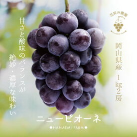 【ふるさと納税】【岡山県産】花笑み農園『ニューピオーネ』1kg(2房)　P-1　【9月上旬～順次発送】【配送不可地域：離島】【1491120】