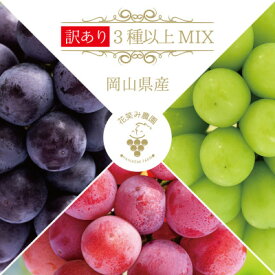 【ふるさと納税】【岡山県産】花笑み農園のブドウ『訳あり3種以上MIX』 1kg　W3M-1【9月中旬～順次発送】【配送不可地域：離島】【1492135】