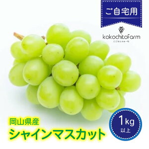 �y�ӂ邳�Ɣ[�Łz �y2026�N��s�\��z �������Ƃӂ��[�� �y������p�z ���R���Y �V���C���}�X�J�b�g 2�`3�[ 1kg�ȏ�y9�����{�`11�����{�����������\��z/ �ʕ� �������� �t���[�c ���� �Ԃǂ�