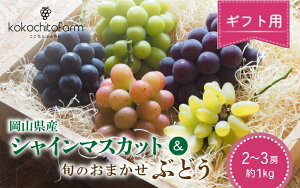 yӂ邳Ɣ[Łz y2026Ns\z Ƃӂ[ yMtgz RY VC}XJbg{̂܂Ԃǂ 2`3[ 1kg / ʌ Y Yn VN Ԃǂ Hה t[c