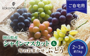 yӂ邳Ɣ[Łz y2026Ns\z Ƃӂ[ ypz RY VC}XJbg{̂܂Ԃǂ 2`3[ 1kg / ʌ Yn Ԃǂ Hה uhE VC