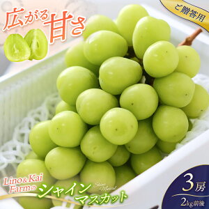 yӂ邳Ɣ[ŁzypzVC}XJbg3[O(2kgO ϔ) LinoKai Farm 2025N10{` / Ԃǂ R ^ }XJbg  Mtg  lC Yn ʌ 