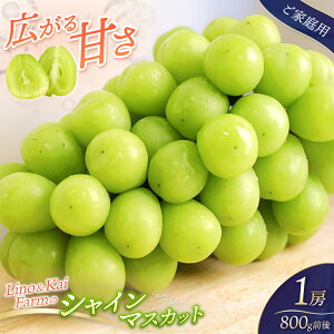 yӂ邳Ɣ[Łzyƒpz VC}XJbg1[(800g) ϔ LinoKai Farm 2025N10{` / Ԃǂ R ^ }XJbg  Mtg  lC Yn ʌ Ȃ 