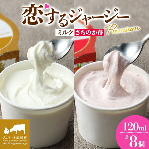 yӂ邳Ɣ[Łz yWF[gz W[W[Premium2 iS[f~N̂䕁jv8Zbg / R ^  ɏXC[c Z v[g  fU[g Mtg 