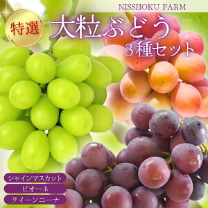 yӂ邳Ɣ[Łz NISSHOKU FARM I 嗱Ԃǂ3ZbgiVC}XJbgjR y2025N9{`12z/ Ԃǂ uhE  VC}XJbg sI[l NC[j[i 