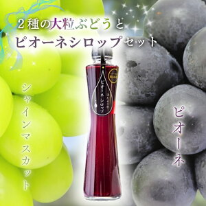 yӂ邳Ɣ[Łz嗱Ԃǂ2(v1.2kg)ƃsI[lVbvlߍ킹y2025N9{`12ɏ\i͂ws jz/ VC}XJbg uhE  }XJbg lC Y