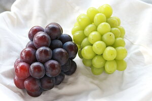 �y�ӂ邳�Ɣ[�Łz�y2026�N��s�\��z�y�󂠂�z���ƒ�p�Ԃǂ�2��Z�b�g 2�[ ��1.0kg / �Ԃǂ� �l�ߍ��킹 �u�h�E ���� �V���C���}�X�J�b�g �s�I�[�l �N�C�[���j�[�i �I�[�����u���b�N ��s�\