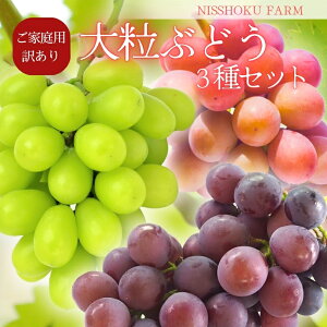 yӂ邳Ɣ[Łz NISSHOKU FARM ƒp 嗱Ԃǂ3Zbg R 󂠂 / Ԃǂ uhE  s\ t[c ʕ I 嗱TCY ^s t[c