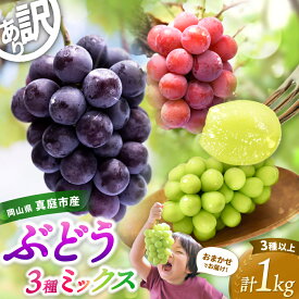 【ふるさと納税】 訳あり 岡山県産 ぶどう詰め合わせ 3種以上 1kg （房または粒詰め） 2026年 先行予約 シャインマスカット ピオーネ 食べ比べ フルーツ 果物 粒 瀬戸ジャイアンツ 花笑み農園 送料無料 冷蔵 岡山県 真庭市