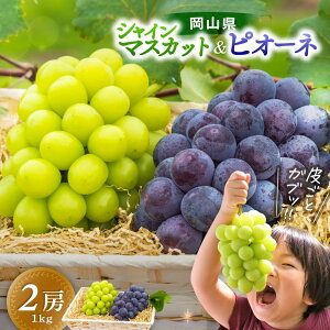 yӂ邳Ɣ[Łz x VC}XJbg&j[sI[l 1kg`1.5kgi2[j pɂ ԏ΂ݔ_I 嗱 PS-1 y2025N9{`\zyzsnFz Hה l