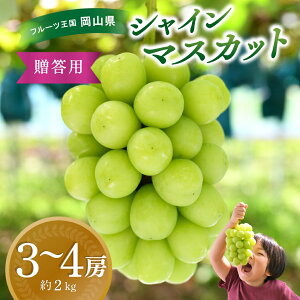 yӂ邳Ɣ[ŁzԂǂ R ԏ΂ݔ_ wVC}XJbgx2kg(3`4[) S-2 hana16-1 2025N9{`tɔ\ p R ^s VC}XJbg  2kg 嗱  ʕ l