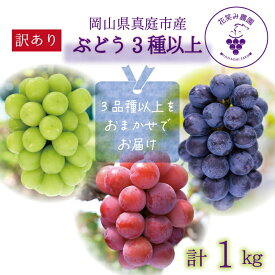 【ふるさと納税】 ＼2026年先行予約／ 岡山 花笑み農園のブドウ『訳ありMIX3種以上』1kg 【2026年9月中旬〜順次発送】【配送不可地域：離島】ぶどう 葡萄 詰め合わせ シャインマスカット ピオーネ オーロラブラック 瀬戸ジャイアンツ 食べ比べ フルーツ 真庭市 マスカット