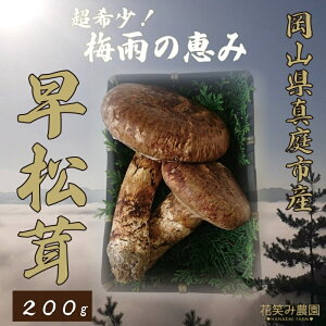 �y�ӂ邳�Ɣ[�Łz �_2026�N��s�\��^ �ԏ΂ݔ_�� ����! ���w�����x200g �`�~�J�̌b�݁`�y2026�N6�`7�������\��z�y�z���s�n��F�����zhana24 ���Y ���R�� �^��s �� �Y�n���� ������ �V�R