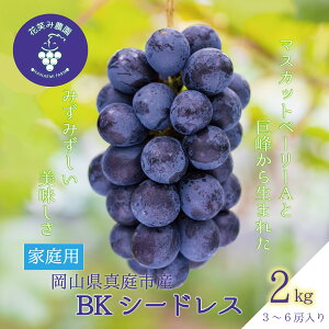 yӂ邳Ɣ[Łz R ԏ΂ݔ_̃uhEwBKV[hXxƒp2kgi3`6[)@B-2 hana29-1 y2025N9{`zyzsnFz ^ Y Yn t[c  Ԃǂ 