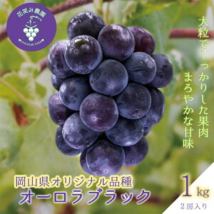 �y�ӂ邳�Ɣ[�Łz �_2026�N��s�\��^ �ԏ΂ݔ_�� ���R�̃u�h�E �w�I�[�����u���b�N�x1kg(2�[)A-1 hana30�y2026�N9����{�`���������z�y�z���s�n��F�����z�^�� ���Y �Y�n���� �t���[�c ���� ��