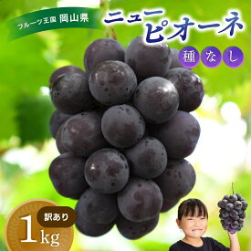 【ふるさと納税】 ＼2026年先行予約／ 【訳あり】 岡山 花笑み農園の 『訳ありニューピオーネ』1kg 【2026年9月上旬〜順次発送予定】【配送不可地域：離島】 ぶどう 葡萄 ブドウ フルーツ 果物 くだもの ピオーネ ニューピオーネ 人気 おすすめ 国産 産地直送 不揃い 岡山