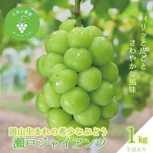 yӂ邳Ɣ[Łz R@ԏ΂ݔ_̃uhEw˃WCAcx1kg(2[)@G-1 hana40y2025N9{`zyzsnFz ^ Y Yn t[c  Ԃǂ ʕ  