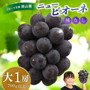 yӂ邳Ɣ[Łz R@ԏ΂ݔ_wj[sI[lx700gȏ(1[)@P-1 hana45 y2025N9{`\zyzsnFz ^ Y Yn t[c  Ԃǂ uhE
