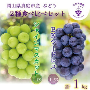 yӂ邳Ɣ[Łz R@ԏ΂ݔ_wVC}XJbg&BKV[hXx1kg(2[)BS-1 y2025N9{`zyzsnFz ^ }XJbg Yn t[c  Ԃǂ u