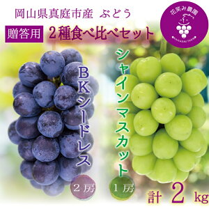 yӂ邳Ɣ[Łz R@ԏ΂ݔ_́wVC}XJbg&BKV[hXxp@2kg(3[)@BS-2 hana48y2025N9{`zyzsnFz^  Mtg  Ԃǂ 