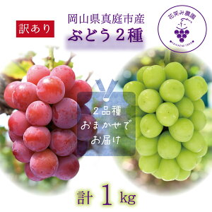 yӂ邳Ɣ[Łz R@ԏ΂ݔ_́w󂠂2MIXxuhE1kg W2M-1 hana49y2025N9{`zyzsnFz Ԃǂ  ^ Y Yn VC}XJbg sI[l 
