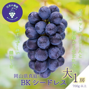 yӂ邳Ɣ[Łz R@ԏ΂ݔ_́wBKV[hXx700gȏ(1[)@B-1@hana52y2025N9{`zyzsnFz^ Y Yn t[c  Ԃǂ uhE ʕ