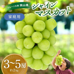 yӂ邳Ɣ[Łz R@ԏ΂ݔ_́wVC}XJbgxƒp@2kg(3`5[)@S-2 hana61y2025N9{`z ^ }XJbg Yn t[c  Ԃǂ uhE ʕ 