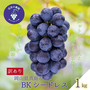 yӂ邳Ɣ[Łz R@ԏ΂ݔ_́w󂠂BKV[hXx1kg@WB-1 hana62y2025N9{`z^ Y Yn t[c  Ԃǂ uhE ʕ Z W[V[ Ȃ Â q
