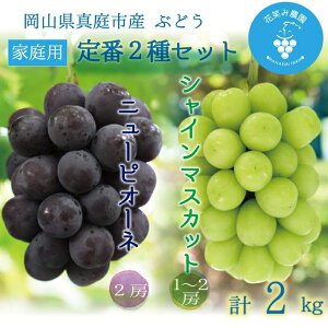 yӂ邳Ɣ[Łz R@ԏ΂ݔ_wj[sI[l&VC}XJbgxƒp@2kg@PS-2 hana63y2025N9{`z^ Y Yn t[c  Ԃǂ uhE ʕ H