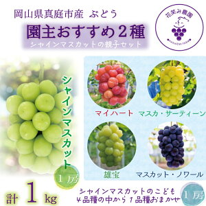 �y�ӂ邳�Ɣ[�Łz �_2026�N��s�\��^ ���R �ԏ΂ݔ_���w���储�����߂Ԃǂ�2��Z�b�g�x�`�V���C���̐e�q�Z�b�g�` 2M-1SR hana65�y2026�N9�������{�`���������z �V���C���}�X�J�b�g �Y�n���� ��