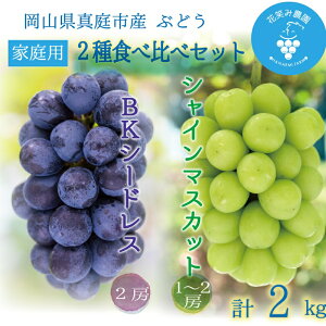yӂ邳Ɣ[Łz R@ԏ΂ݔ_́wVC}XJbg&BKV[hXxƒp@2kg(3`4[)@BS-2 y2025N9{`z^ Y Yn t[c  Ԃǂ uhE }XJ