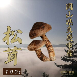 yӂ邳Ɣ[Łz ԏ΂ݔ_ RYwx 100g(1`3{) hana77y9{`z Y R ^s  Yn  VR@܂@̂y1602118z