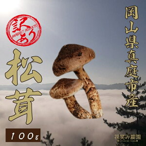 yӂ邳Ɣ[Łz ԏ΂ݔ_ RY 󂠂wx100gi1`4{jy2025N9{`z hana78 Y R ^s  Yn  VR 󂠂 ̂ 󂠂菼@܂y