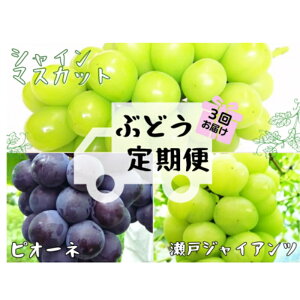 yӂ邳Ɣ[Łz 2026N̗\łI yYnzR VC}XJbg ԕi  3R[Xy2026N9{`\zs / ʌ  Ԃǂ uhE 