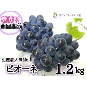 yӂ邳Ɣ[Łz 2026N̗\łI yYnzRY  sI[l 1.2kg(2`3[)Zbgy2026N9{`\zs / s\ sI[l  I ʕ t[