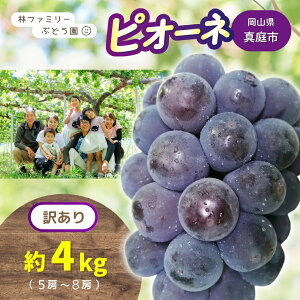 yӂ邳Ɣ[Łz 2026N̗\łI y 󂠂 zRY уt@~[  sI[l 4kgi5`8[j y2026N s\ z /  Ԃǂ uhE sI[l ʕ t[c VN o