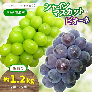 yӂ邳Ɣ[Łz 2026N̗\łI y 󂠂 zRY уt@~[  VC}XJbg & sI[l 1.2kgi2`3[j y2026N s\ z /  Ԃǂ uhE }XJbg 