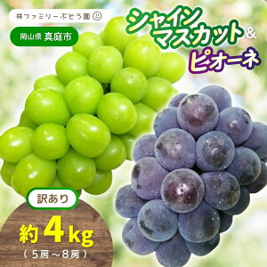 yӂ邳Ɣ[Łz 2026N̗\łI y 󂠂 zRY уt@~[ VC}XJbg & sI[l 4kgi5`8[j /  Ԃǂ uhE }XJbg ʕ t[c Hה 