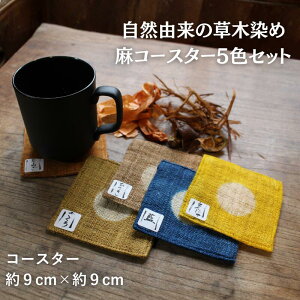 yӂ邳Ɣ[ŁzؐߖR[X^[5FZbg / ^ ؐ  ؐ R[X^[ R Rf SDGs